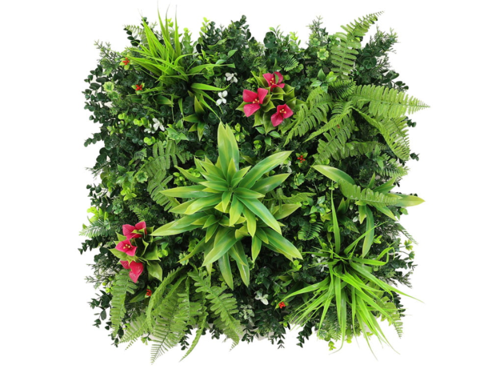 Dracaena rosa Orchidee Kunsthecke