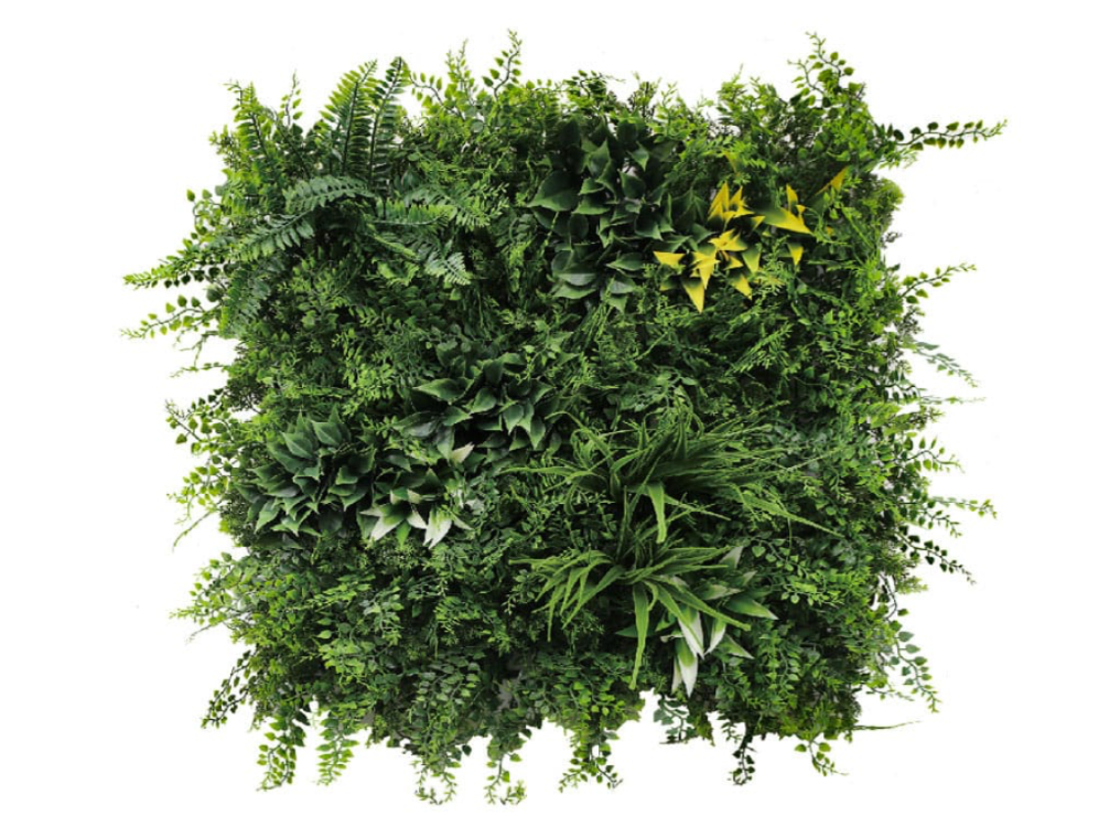 Vegetation fein Jungle