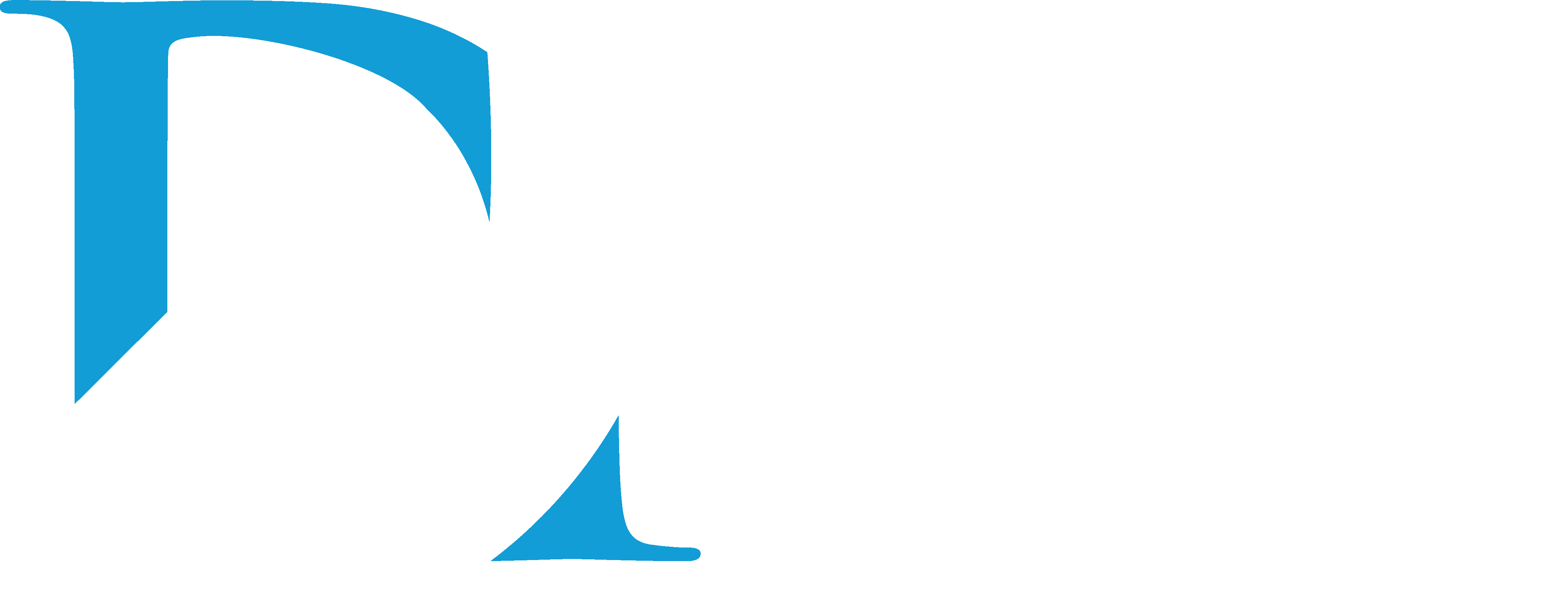DP Design Projekt Logo